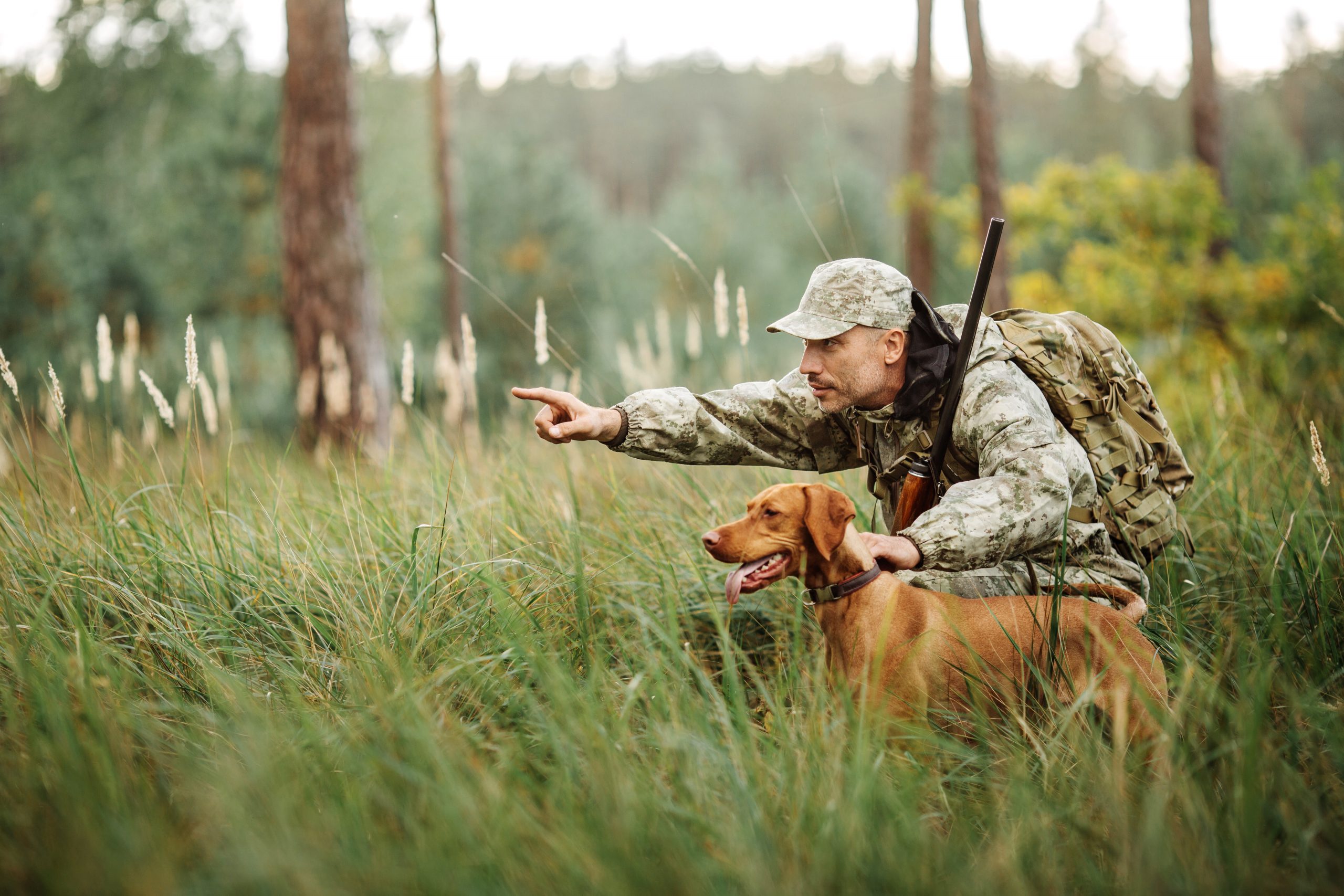 yang Hunter with Rifle and Dog in forest